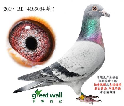 18.��ʱ��911xȫ��.4185084