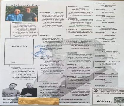 3.Ӣ��˹ԭ��.6083417xx