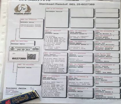 4.¡����ԭ��.6027389xx