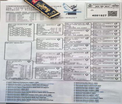 5.�����ֵ�ԭ��.4091927xx