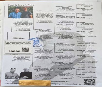 6.Ӣ��˹ԭ��.6083389cc