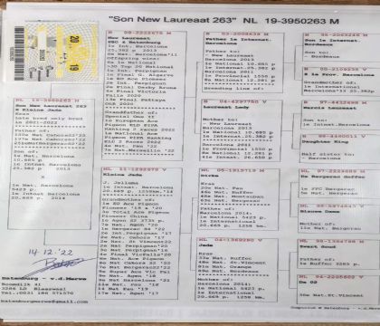 7.�±���263��.3950263x2