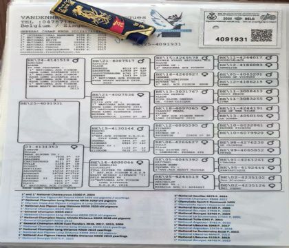 10.�����ֵ�ԭ��.4091931xx