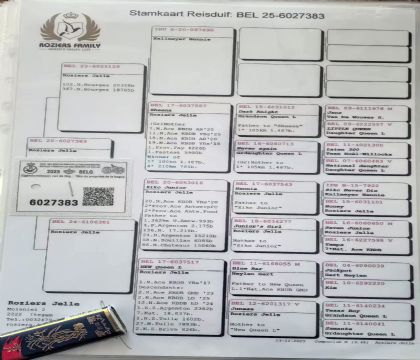 11.¡����ԭ��.6027383xx