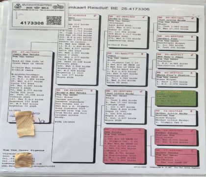 12.汤姆凡哈佛原舍.4173306xx