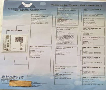 13.���ֿ�˹ԭ��.6013478xx