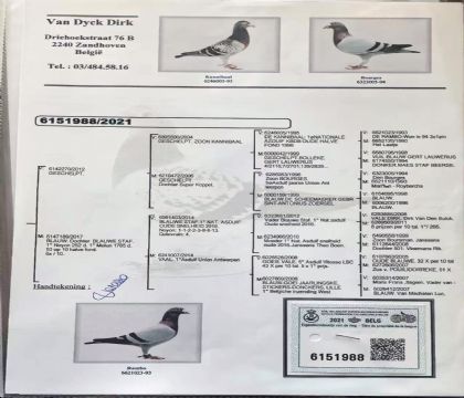 14.������ԭ��.6151988xx