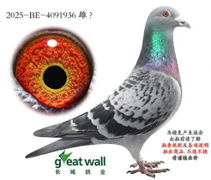 2.�����ֵ�ԭ��.4091936