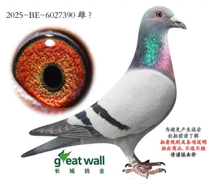 1.¡����ԭ��.6027390