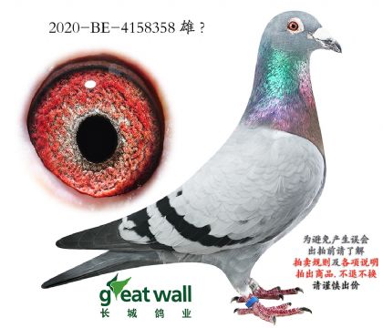 5.�ƽ�����x����.4158358