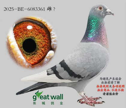 3.Ӣ��˹ԭ��.6083361