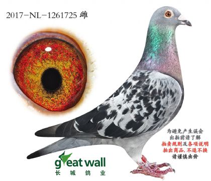 4.����ҫ��ֱŮ.1261725