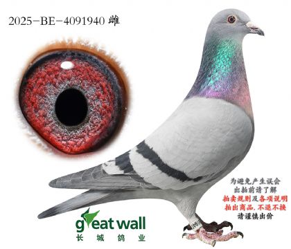 8.�����ֵ�ԭ��.4091940