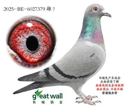 6.¡����ԭ��.6027379