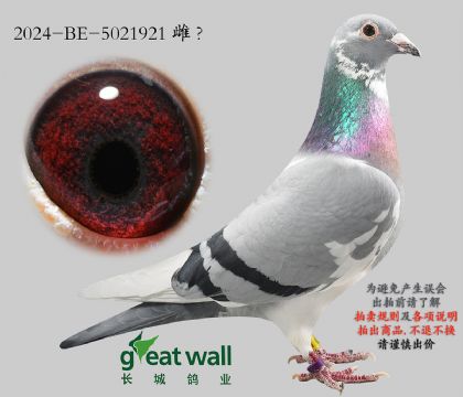 11.����ޱ�˹ԭ��.5021921