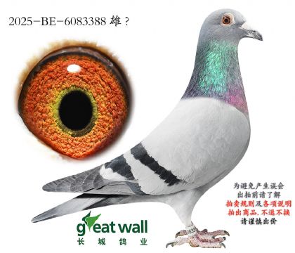 10.Ӣ��˹ԭ��.6083388