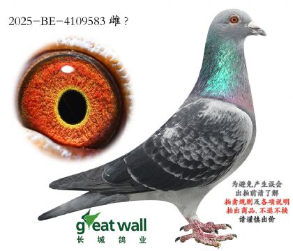 9.��ѻ��ض�x��ʱ��.4109583