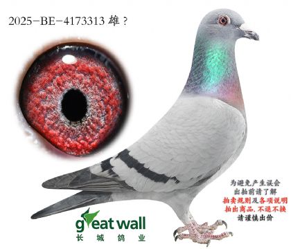 12.��ķ������ԭ��.4173313