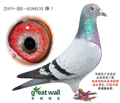 13.�ƽ�����x��ʱ��ȫ��.4184531