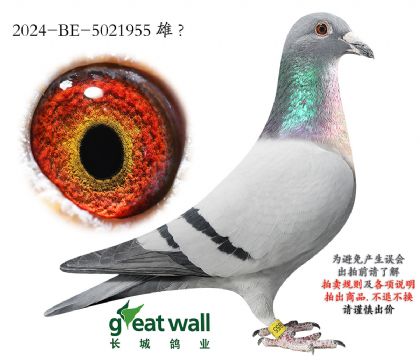 16.����ޱ�˹�����˽�Ѫ.5021955