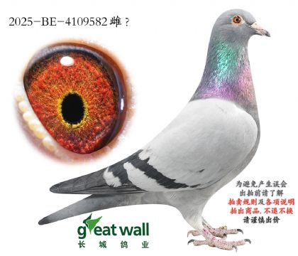 15.��ѻ��ض�x��ʱ��.4109582