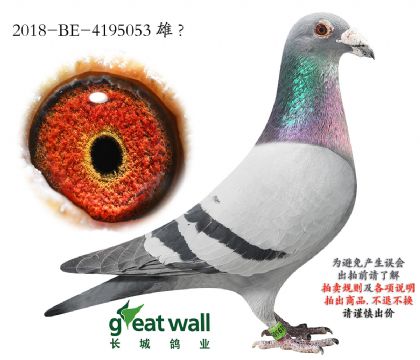 17.����С��690ֱ��.4195053