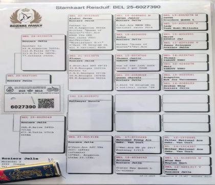 1.¡����ԭ��.6027390xx