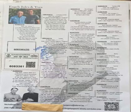 3.Ӣ��˹ԭ��.6083361xx