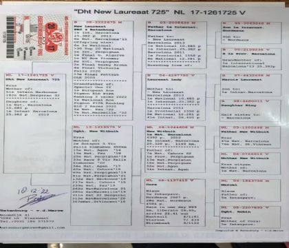 4.����ҫ��ֱŮ.1261725x2