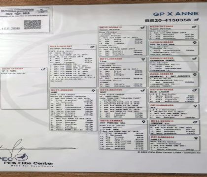 5.�ƽ�����x����.4158358x2