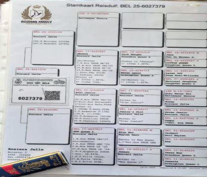 6.¡����ԭ��.6027379xx