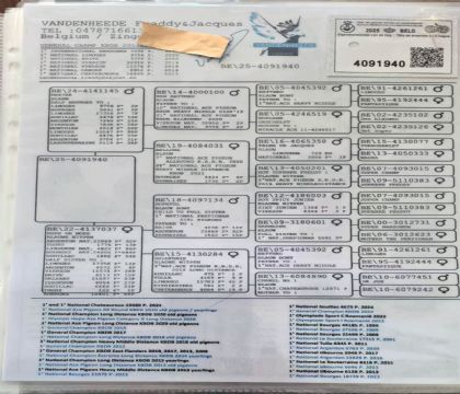 8.�����ֵ�ԭ��.4091940xx.