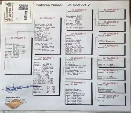 11.����ޱ�˹ԭ��.5021921xx