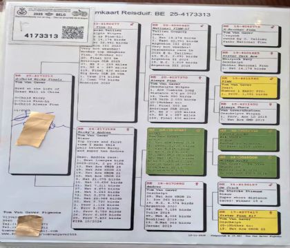 12.��ķ������ԭ��.4173313xx