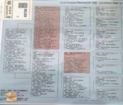 14.����ԭ��.6087396xx