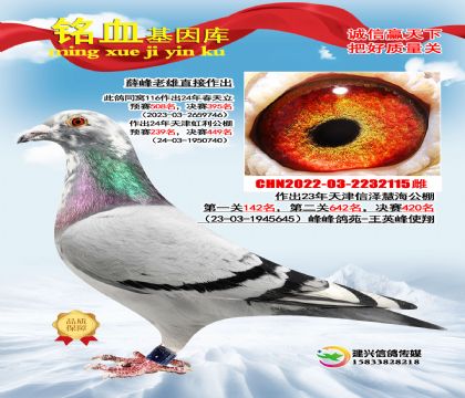 �������ۣ�Ѧ��ɣ��ʿ����ֱŮ115��