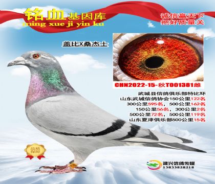 �Ǳ�Xɣ��ʿ381