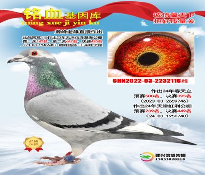 �������ۣ�Ѧ��ɣ��ʿ����ֱŮ116��