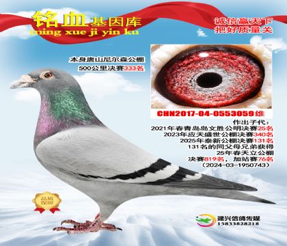 �������333��