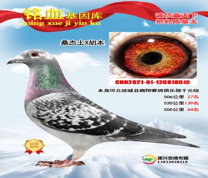 ɣ��ʿX����180