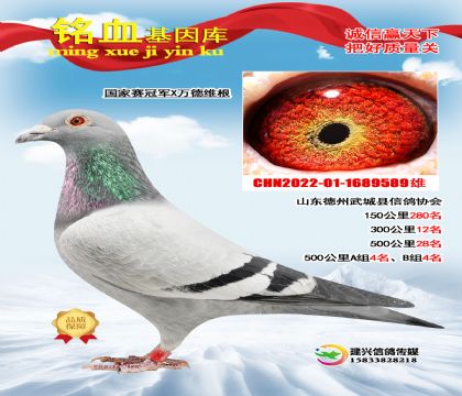 �������ھ�X���ά��589