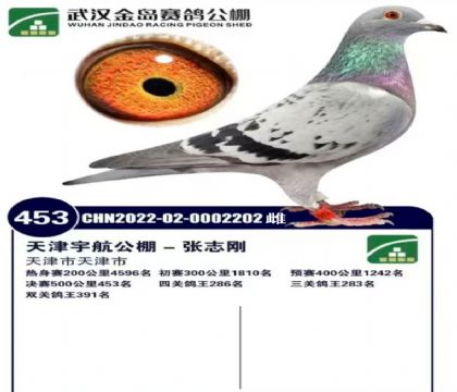 �������־�գ��������453��