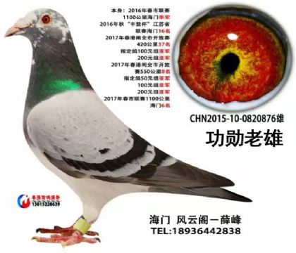 �������ۣ�Ѧ��ɣ��ʿ����