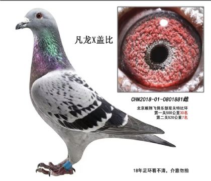 ����X�Ǳ�881