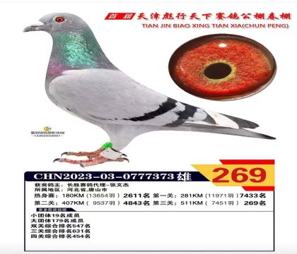 �������269��