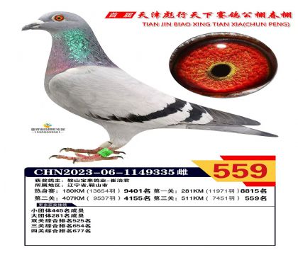 �������559��