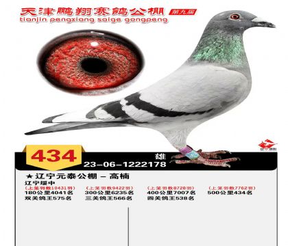 �������434��