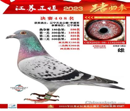 �������408��