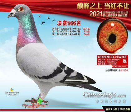 �������566��