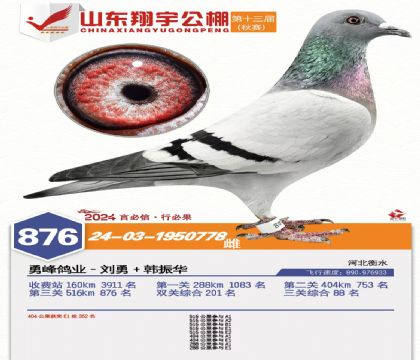 �������876��